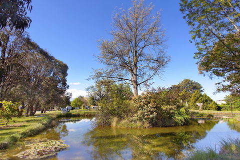 Armidale Tourist Park - Accommodation in Surfers Paradise 24