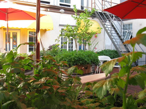 European Hotel - Accommodation in Surfers Paradise 9