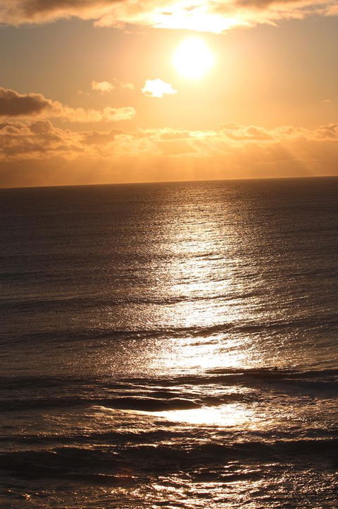 Riverview Tourist Park - Accommodation in Surfers Paradise 32