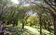 Karriview Margaret River - thumb 13