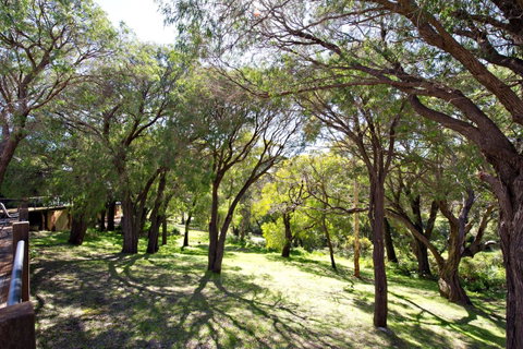 Karriview Margaret River - Accommodation in Surfers Paradise 13