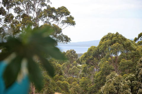 The Floating Forest - Accommodation in Surfers Paradise 8