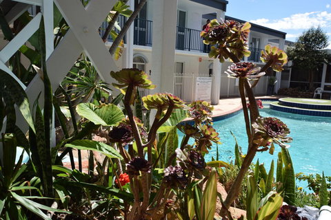 West Beach Lagoon 220 Stylish And Cozy - Accommodation in Surfers Paradise 18