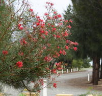 The Heights Bed  Breakfast - Accommodation in Surfers Paradise