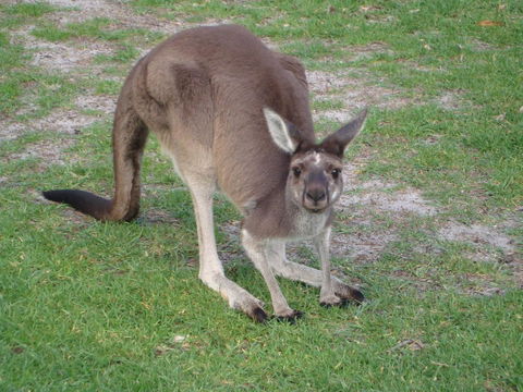 Bella Bali Gardens - Accommodation in Surfers Paradise 39