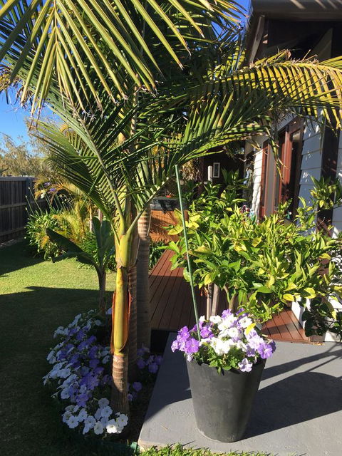 Bella Bali Gardens - Accommodation in Surfers Paradise 23
