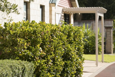 Amalfi Resort - Accommodation in Surfers Paradise 9