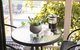 Amalfi Resort - thumb 23
