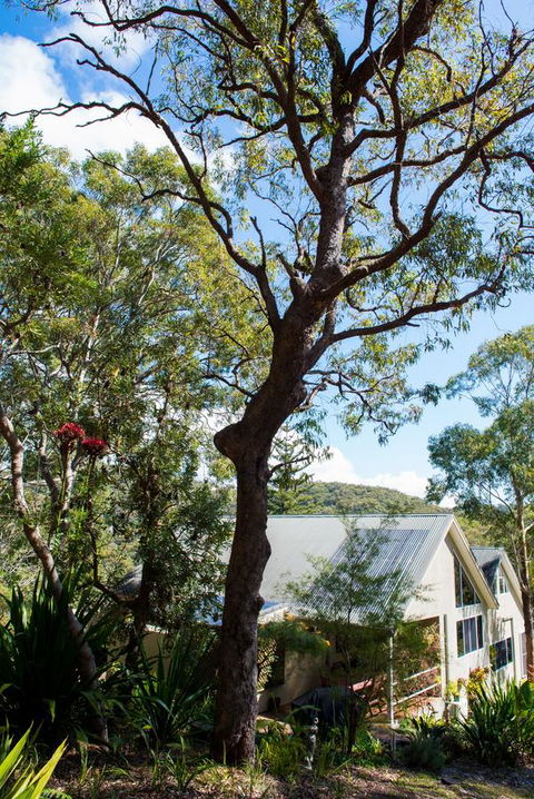 Nelson Bay Bed & Breakfast - Accommodation in Surfers Paradise 42