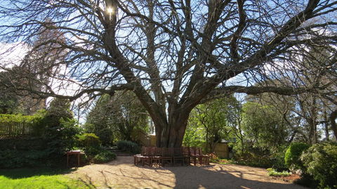 Nesuto Leura Gardens (formerly Waldorf Leura Gardens Resort) - Accommodation in Surfers Paradise 3