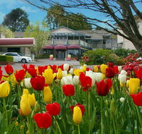 Nesuto Leura Gardens formerly Waldorf Leura Gardens Resort - Accommodation in Surfers Paradise