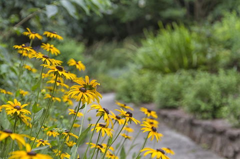 Nesuto Leura Gardens (formerly Waldorf Leura Gardens Resort) - Accommodation in Surfers Paradise 16