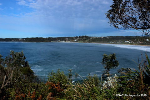 Mollymook Cove Apartments - Accommodation in Surfers Paradise 1
