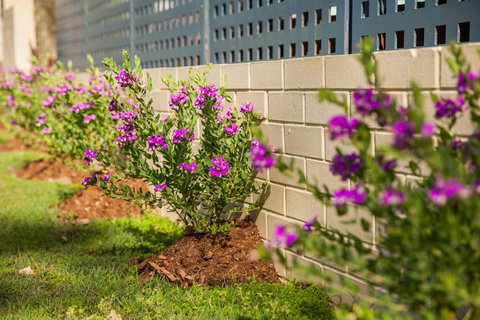 Kempsey Rose Motor Inn - Accommodation in Surfers Paradise 15