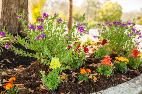 Kempsey Rose Motor Inn - Accommodation in Surfers Paradise 28