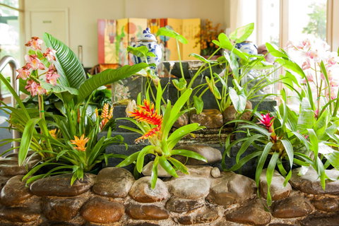 Kempsey Rose Motor Inn - Accommodation in Surfers Paradise 44