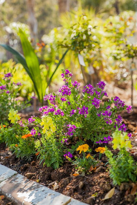 Kempsey Rose Motor Inn - Accommodation in Surfers Paradise 6