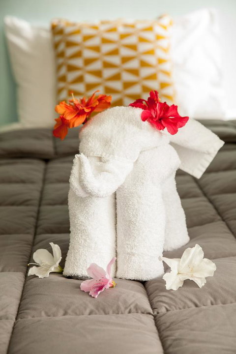 Kempsey Rose Motor Inn - Accommodation in Surfers Paradise 17