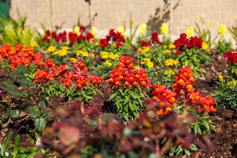 Kempsey Rose Motor Inn - Accommodation in Surfers Paradise 20