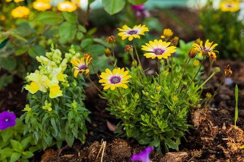 Kempsey Rose Motor Inn - Accommodation in Surfers Paradise 39