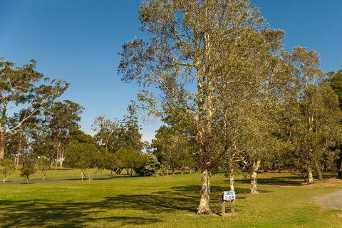 Kempsey Rose Motor Inn - Accommodation in Surfers Paradise 32