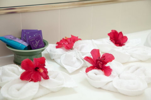 Kempsey Rose Motor Inn - Accommodation in Surfers Paradise 14