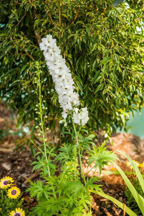 Kempsey Rose Motor Inn - Accommodation in Surfers Paradise 37