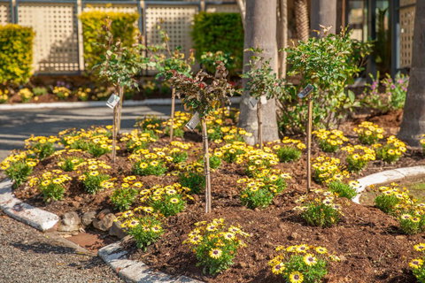 Kempsey Rose Motor Inn - Accommodation in Surfers Paradise 23