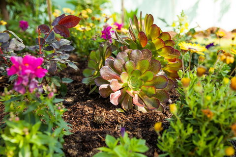 Kempsey Rose Motor Inn - Accommodation in Surfers Paradise 35