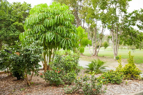 Kempsey Rose Motor Inn - Accommodation in Surfers Paradise 42