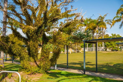 Kempsey Rose Motor Inn - Accommodation in Surfers Paradise 41