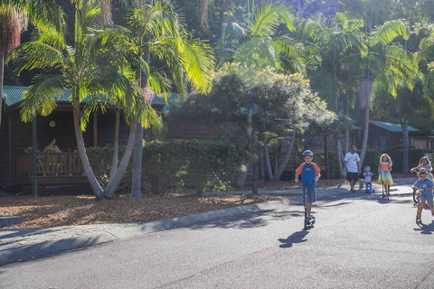 The Palms At Avoca - Accommodation in Surfers Paradise 14