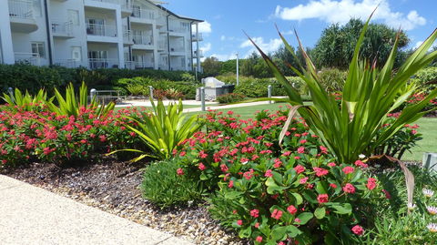 SaltBeach2302 - Accommodation in Surfers Paradise 1