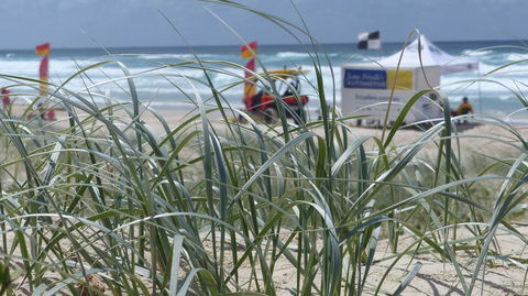 SaltBeach2302 - Accommodation in Surfers Paradise 14