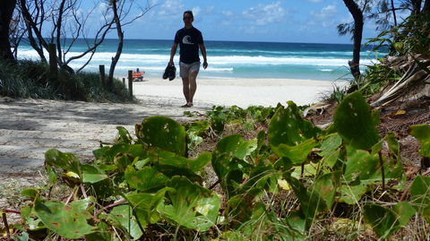 SaltBeach2302 - Accommodation in Surfers Paradise 15