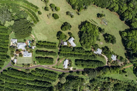 Byron Hinterland Villas - Accommodation in Surfers Paradise 17