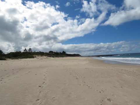 Sweet Spot Shellharbour - Accommodation in Surfers Paradise 15