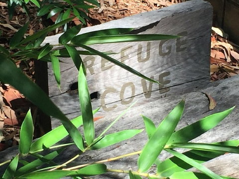 Refuge Cove On Pittwater - Accommodation in Surfers Paradise 12