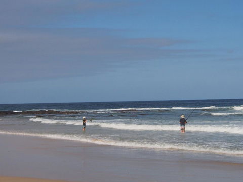 Bundle Hill Cottages - Accommodation in Surfers Paradise 10