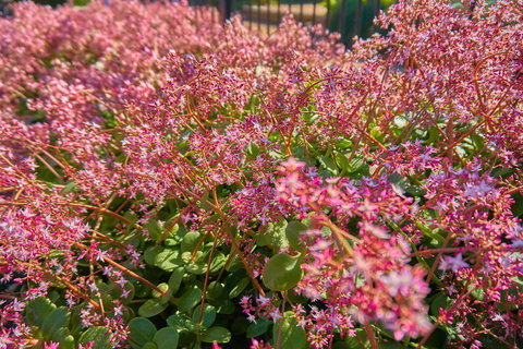 Hunter Oasis - Accommodation in Surfers Paradise 37