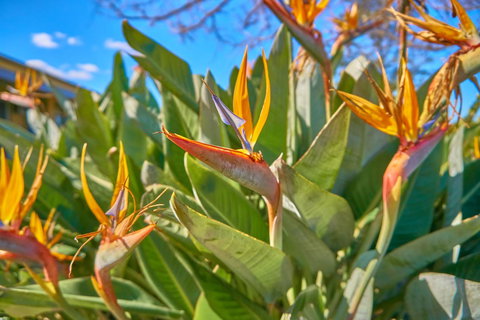 Hunter Oasis - Accommodation in Surfers Paradise 33