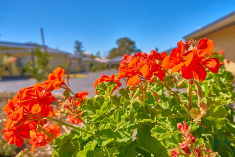 Hunter Oasis - Accommodation in Surfers Paradise 42