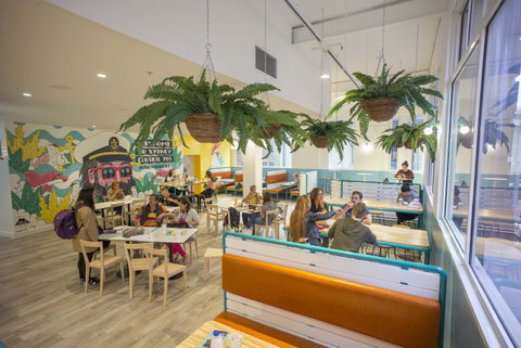 YHA Sydney Central - Accommodation in Surfers Paradise 4