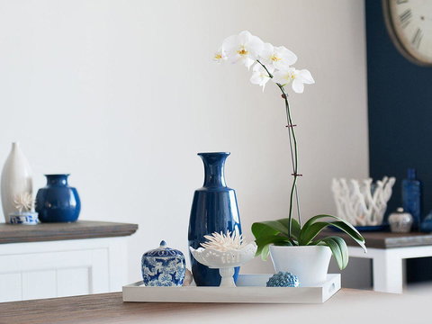 Blue View @ Fingal Bay - Accommodation in Surfers Paradise 8