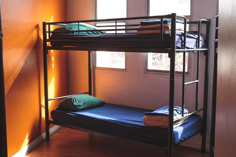 Mad Monkey Kings Cross - Accommodation in Surfers Paradise 29