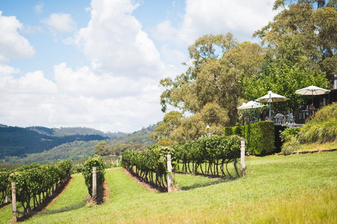 Borrodell Vineyard - Accommodation in Surfers Paradise 12