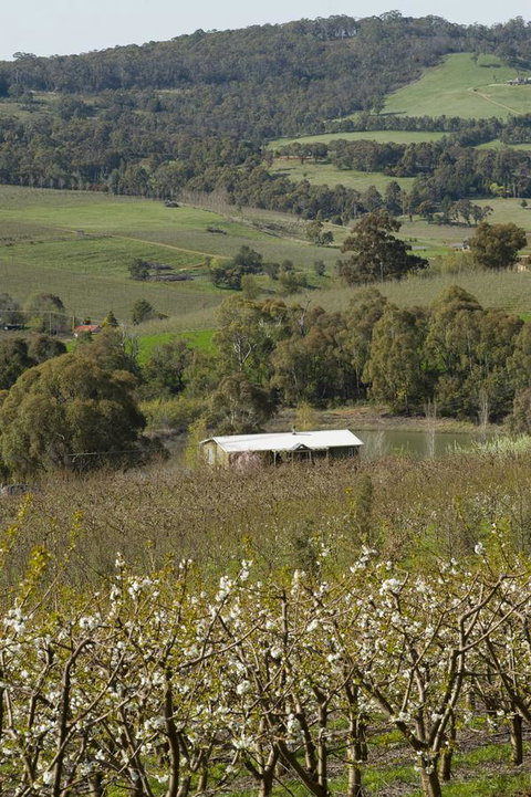 Borrodell Vineyard - Accommodation in Surfers Paradise 30