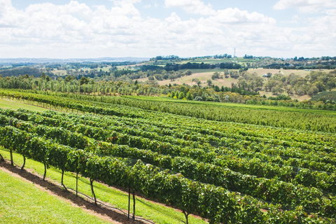 Borrodell Vineyard - Accommodation in Surfers Paradise 29