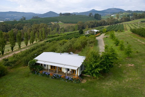Borrodell Vineyard - Accommodation in Surfers Paradise 2