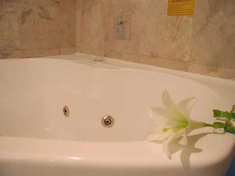 Novotel Sydney Brighton Beach - Accommodation in Surfers Paradise 11